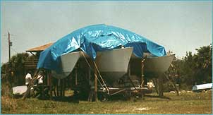 Photo of Gypsy with blue tarpe.