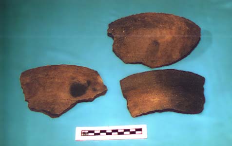 Photo of three potshards from the Ft. Walton Culture.