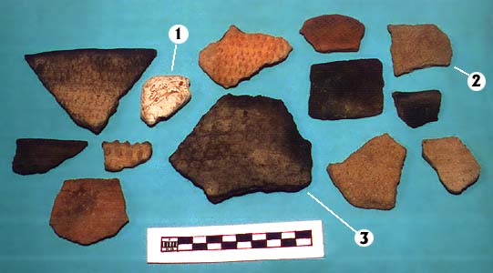 Photo of Indian Pottery pieces found at Shell Point.